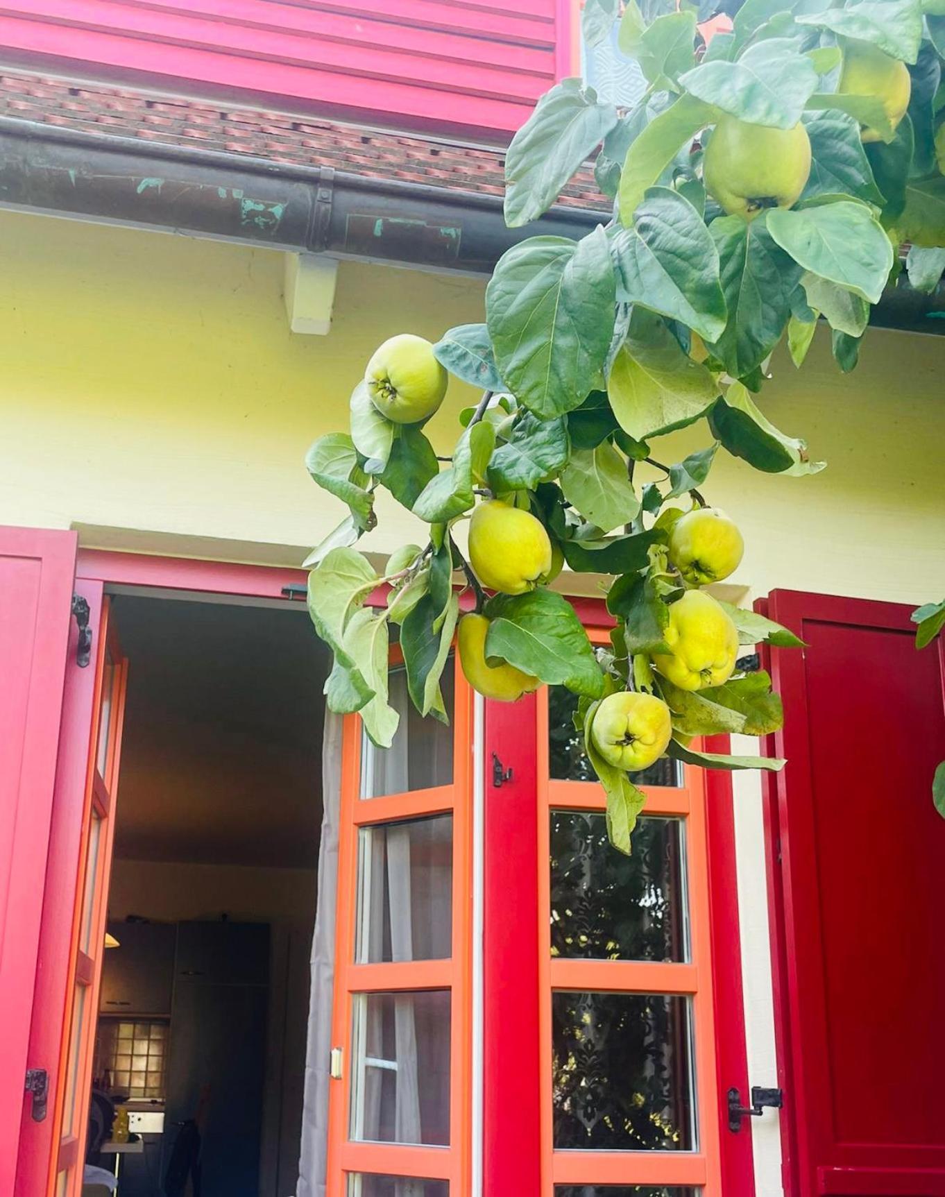 Moewenblick Bakenberg-41 Ferienwohnung Mit Terrasse, Doppelbett, Schlafsofa, Vollstaendige Komfortkueche Dranske Eksteriør bilde
